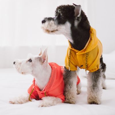 Image showing  Split-Vent Waterproof Dog Raincoat