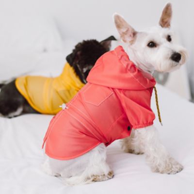 Image showing  Split-Vent Waterproof Dog Raincoat