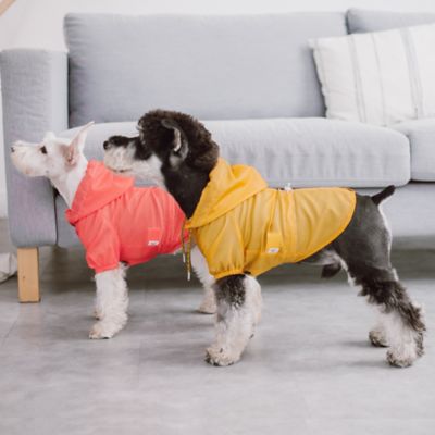 Image showing  Split-Vent Waterproof Dog Raincoat