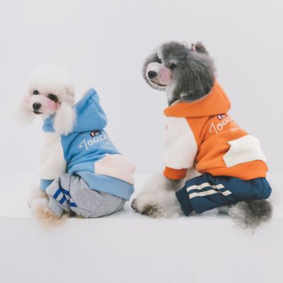 Image showing  Heritage Fashion Dog Hoodie