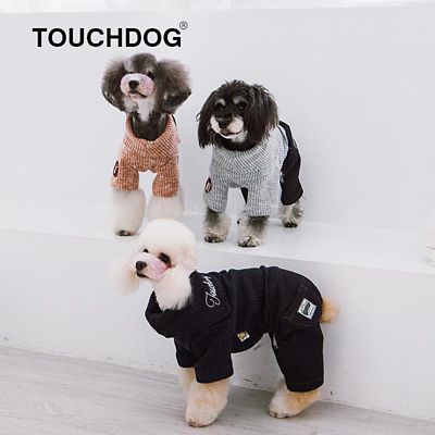Image showing  Vogue Sweater and Pant Dog Outfit