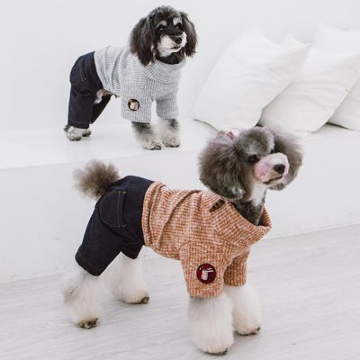 Image showing  Vogue Sweater and Pant Dog Outfit
