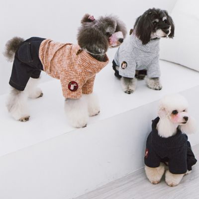 Image showing  Vogue Sweater and Pant Dog Outfit