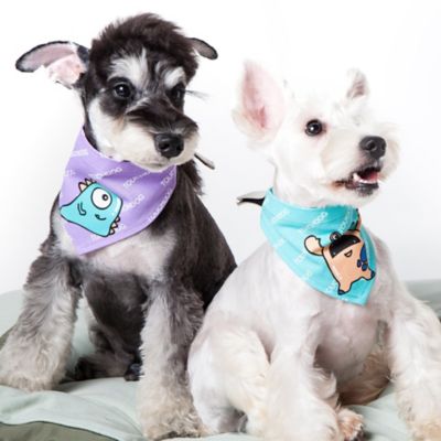 Image showing  Star Patterned Fashionable Velcro Dog Bandana