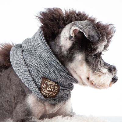 Image showing  Heavy Knitted Winter Dog Scarf
