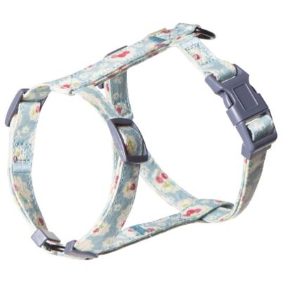 Image showing  Radi-Claw Cat Harness and Leash Combo