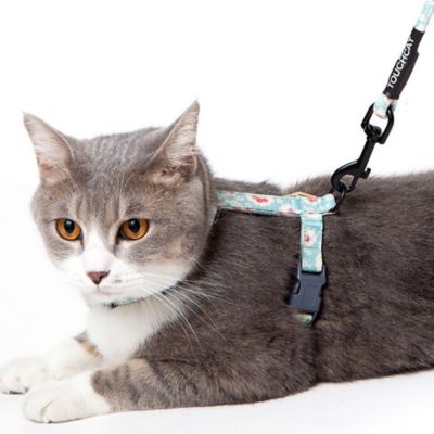 Image showing  Radi-Claw Cat Harness and Leash Combo
