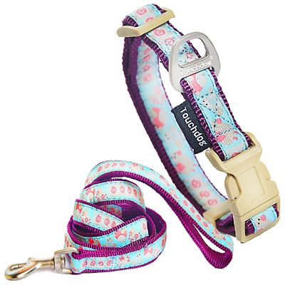 Touchdog Avery Patterned Adjustable Dog Collar and Leash