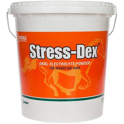 Neogen Stress-Dex Electrolyte Powder for Horses, 12 lb.