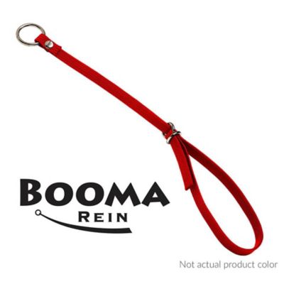 Booma Rein Original Flexible Adjustable Safety Reins, 3 ft.