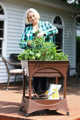 Image showing  Easy Picker Raised Bed Self-Watering Garden Grow Box with 30 in. Stand, Includes Casters and Supply Storage Grate