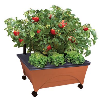 Emsco City Picker Raised Bed Garden Grow Box, Terra Cotta