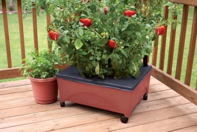 Image showing  City Picker Raised Bed Garden Grow Box, 20 in. x 24 in. x 11 in., Terra Cotta