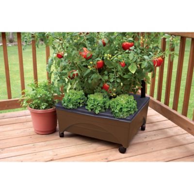 Image showing  City Picker Raised Bed Garden Grow Box, Brown