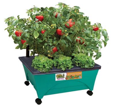 Emsco City Picker Raised Bed Garden Grow Box, Teal