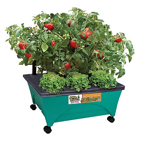 Emsco City Picker Raised Bed Garden Grow Box, Teal