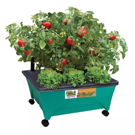 Emsco City Picker Raised Garden Grow Box Teal Raised Garden Beds