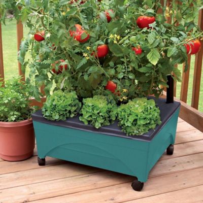 Image showing  City Picker Raised Bed Garden Grow Box, Teal