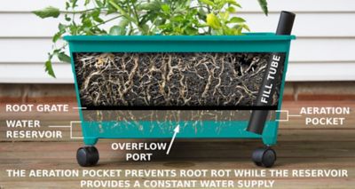 Image showing  City Picker Raised Bed Garden Grow Box, Teal