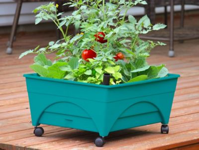 Image showing  City Picker Raised Bed Garden Grow Box, Teal