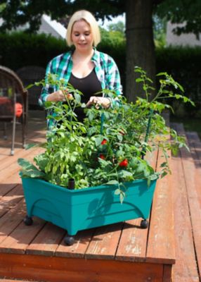Image showing  City Picker Raised Bed Garden Grow Box, Teal