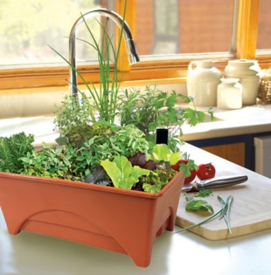 Image showing  Start Pickin' Raised Bed Garden Grow Box, 12 in. x 20 in. Growing Area