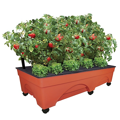 Emsco XL Big City Picker Raised Bed Self-Watering Grow Box, Improved Aeration, Mobility Casters, 48 in. x 20 in.