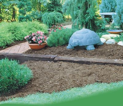 Image showing  5/8 in. x 100 ft. Darwin The Galapagos Turtle Hose Hider and Garden Tool Storage Statue with Hose Reel