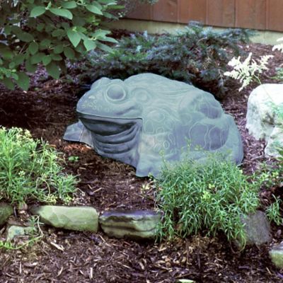 Image showing  100 ft. Darwood The Galapagos Frog Hose Hider and Garden Tool Storage Statue, Patina Finish