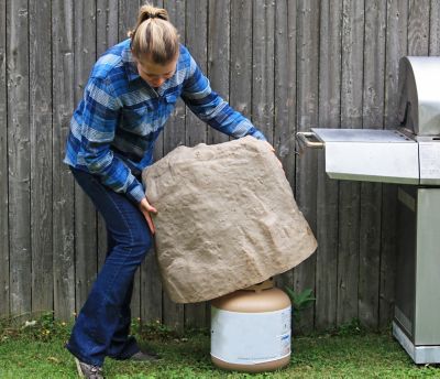 Image showing  Group Landscape Rock, Natural Sandstone Appearance, Large, Lightweight, Easy to Install