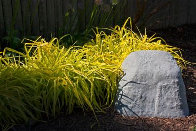 Image showing  Landscape Rock, Natural Granite Appearance, Medium, Lightweight, Easy to Install, 2186-1