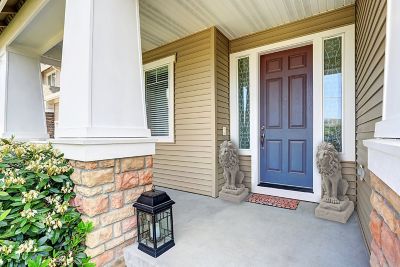 Image showing  Guardian Lion Decorative Garden Statue, 28 in., Plastic Resin, Lightweight, Granite