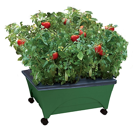 Emsco City Picker Raised Bed Garden Grow Box, Self-Watering and Improved Aeration, Mobile Unit with Casters, Hunter Green