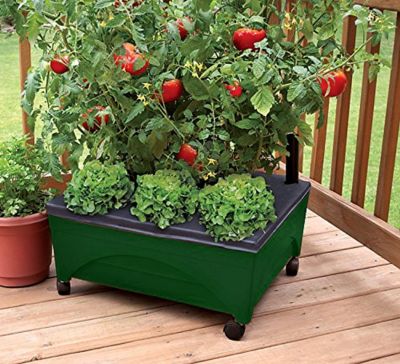 Image showing  City Picker Raised Bed Garden Grow Box, 21 in. x 25 in. x 10 in., Self-Watering and Improved Aeration, Hunter Green