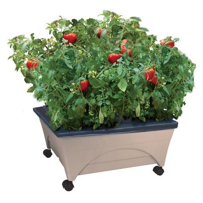 Emsco City Picker Raised Bed Self-Watering Garden Grow Box, Improved Aeration, Includes Mobility Casters