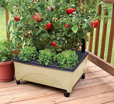 Image showing  City Picker Raised Bed Self-Watering Garden Grow Box, Improved Aeration, Includes Mobility Casters