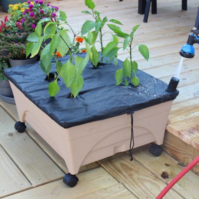 Image showing  City Picker Raised Bed Self-Watering Garden Grow Box, Improved Aeration, Includes Mobility Casters