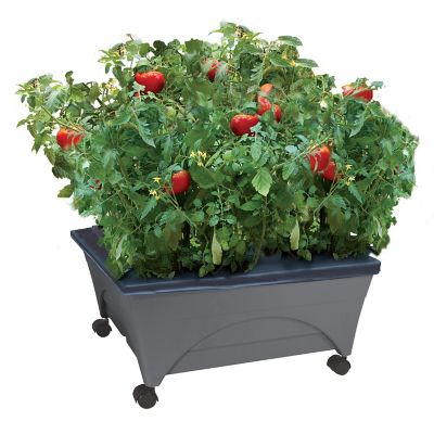 Emsco City Picker Raised Bed Self-Watering Garden Grow Box, Improved Aeration, Includes Mobility Casters