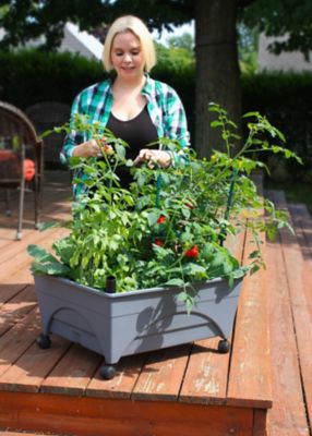 Image showing 5 th Emsco City Picker Raised Bed Self-Watering Garden Grow Box, Improved Aeration, Includes Mobility Casters