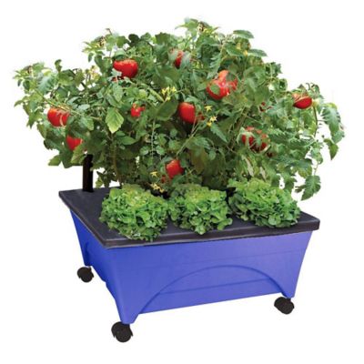 Emsco City Picker Raised Bed Self-Watering Garden Grow Box, Improved Aeration, Includes Mobility Casters