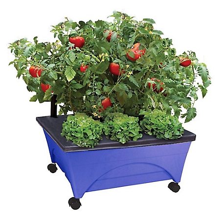 Emsco City Picker Raised Bed Self-Watering Garden Grow Box, Improved Aeration, Includes Mobility Casters