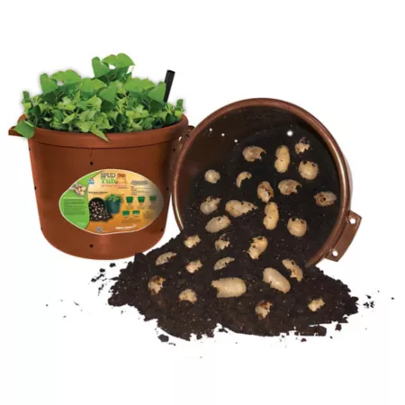 Emsco City Pickers Spud Tub Patio Potato Grow Kit Vegetable Plants