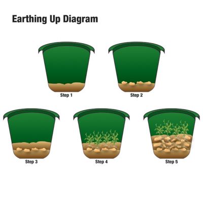 Image showing  City Pickers Spud Tub Patio Potato Grow Kit