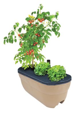 Image showing  Polyethylene Bloomers Rail Picker Self-Watering Rail Planter Garden Grow Box, Weatherproof Resin Planter, 24 in.