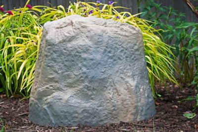 Image showing  Group Landscape Rock, Medium