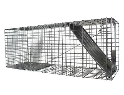 Raccoon Trapping Supplies - Cage Traps, Nose Cones, Dividers