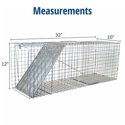 Image showing  1-Door Raccoon Trap