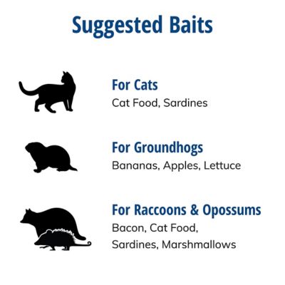 Image showing 5 th Havahart 1-Door Raccoon Trap