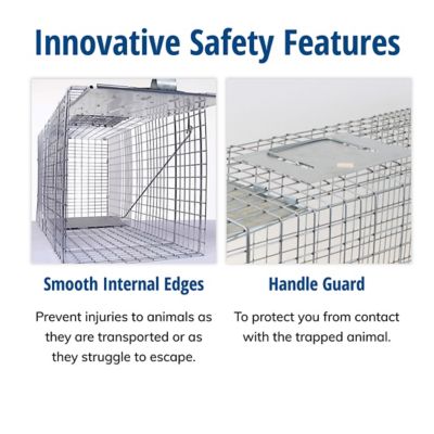 Image showing 6 th Havahart 1-Door Raccoon Trap