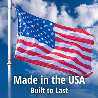 Image showing 7 th Havahart 1-Door Raccoon Trap